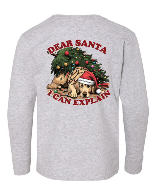 Dear Santa I Can Explain